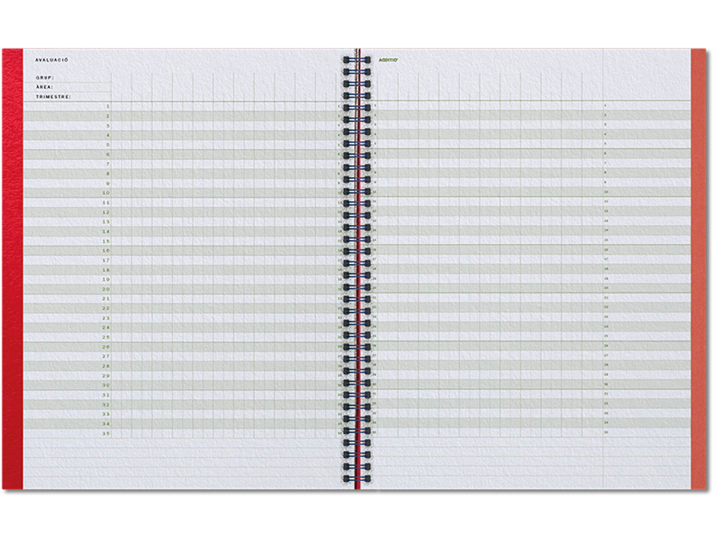 CUADERNO AULA PLANNER CATALAN ADDITIO DIN A4 160 PAGINAS PLAN ANUAL Y MENSUAL CON PROGRAMACION Y EVALUACION